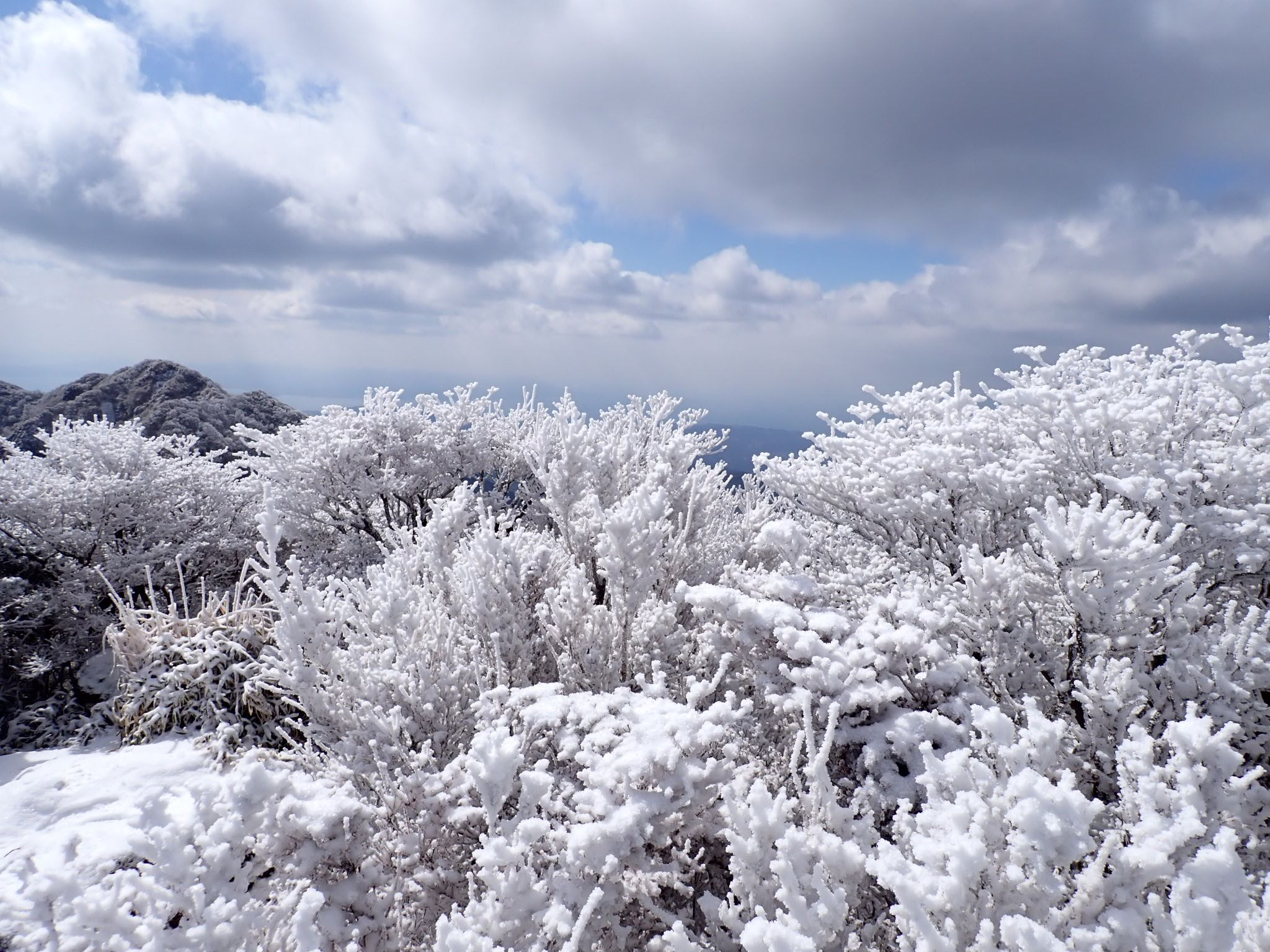 自己紹介がてら「人がいい」組織の魅力を語ります