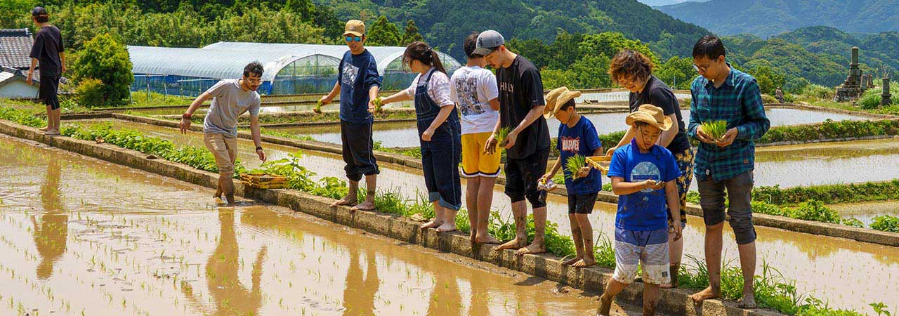 今年もこの季節がやってきた！ペンシル棚田の4度目の田植え