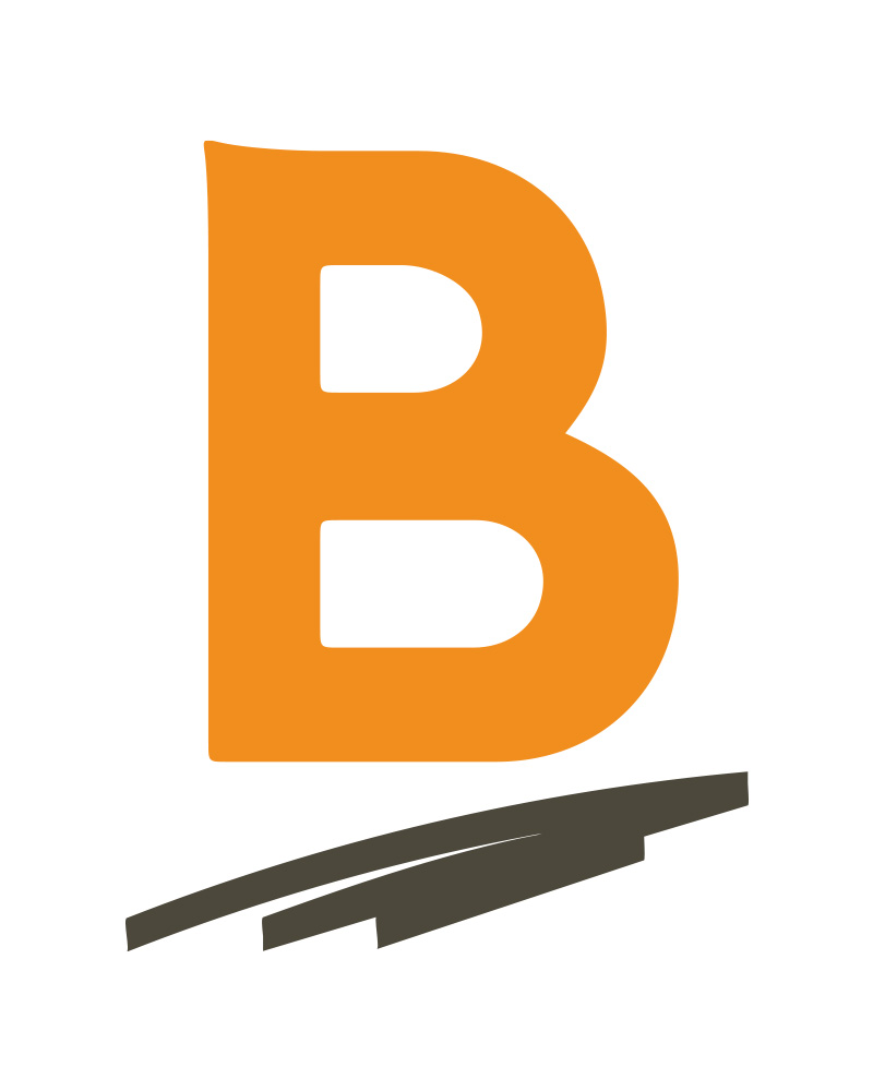 株式会社ビズパ