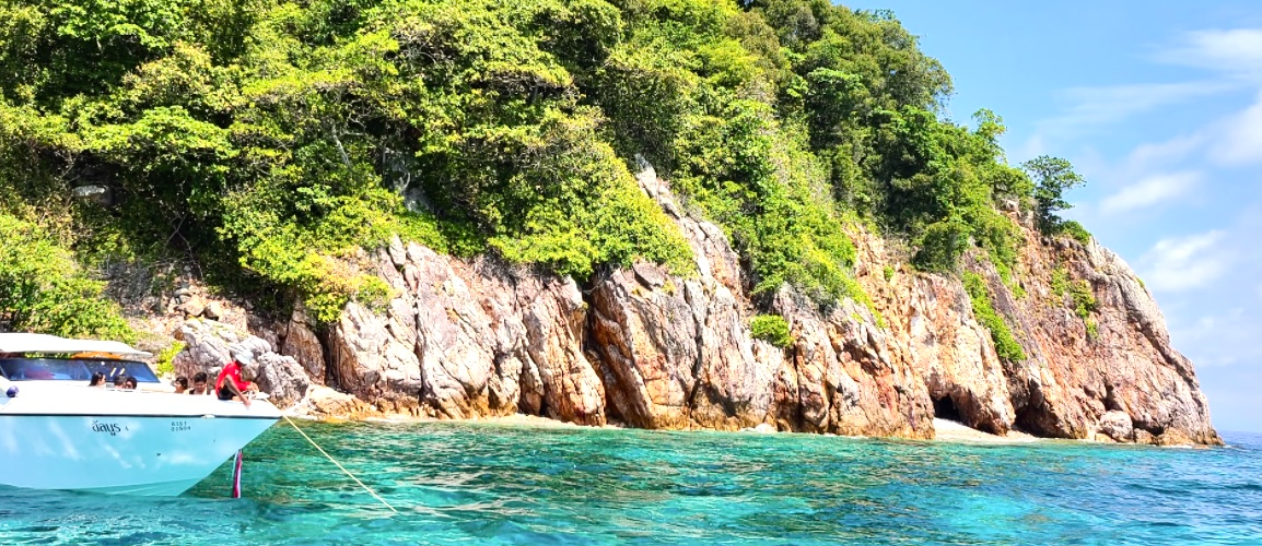 【新卒向け】企業目線からみる「あなた」について知りたいこと