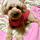 一条 千尋