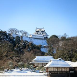 奥井 雅晴