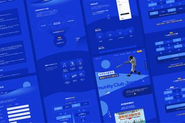 サービスサイト制作例