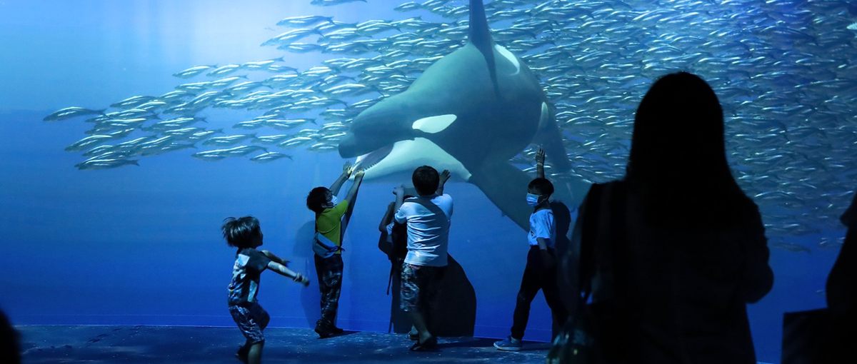 東京：イマーシブ空間等の最新技術を活用した体験を提案するアカウント営業