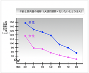 年齢と筋肉の推移