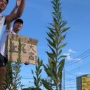 片岡夏輝