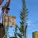 片岡夏輝