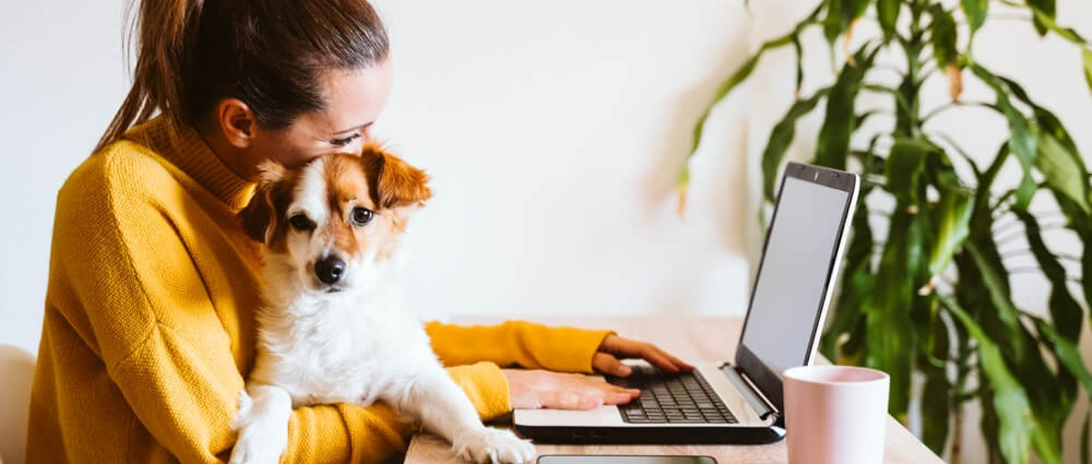 自宅からでも成長できる！キャリアアップしたいWEBデザイナーさん募集！