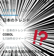 逆に、ＣＯＢＯＬとかはまったくできない....。古い大規模システムのリプレイス等においては、ほぼ無力な会社ともいえる。