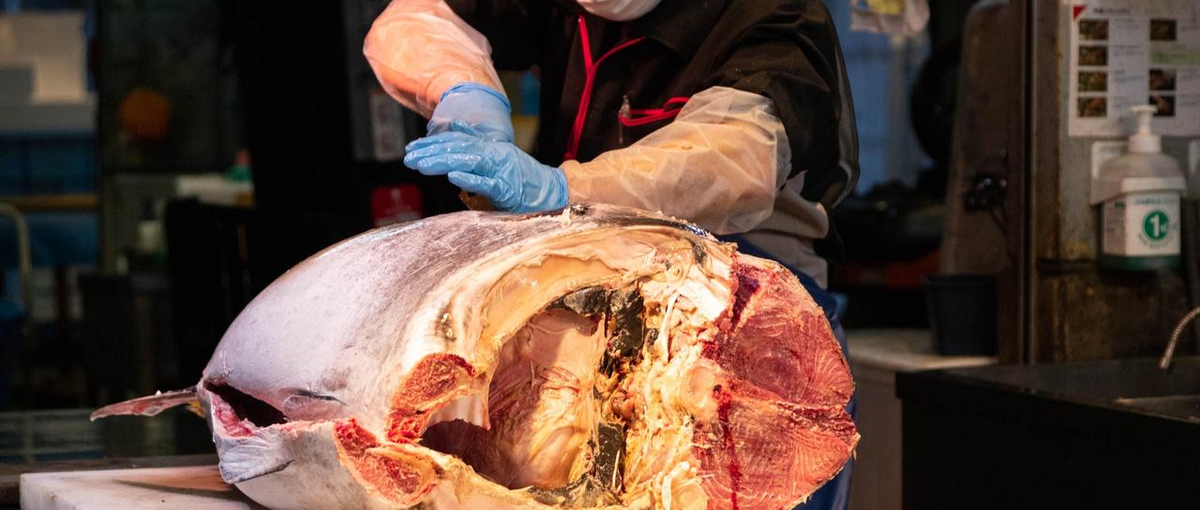 鮮魚加工場でのアルバイトスタッフ募集中！プロの技を近くで見れます！