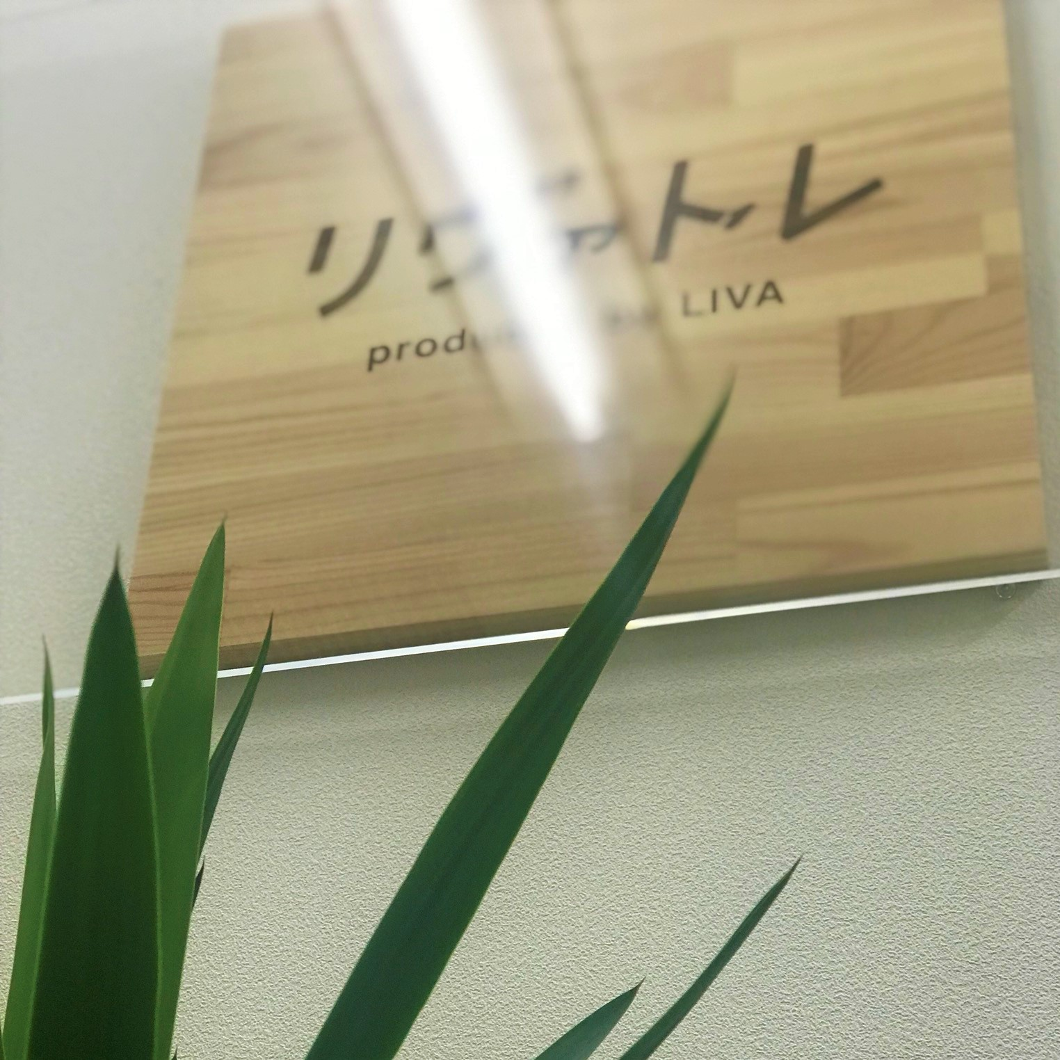 【初心者支援員体験記】株式会社リヴァに転職した理由