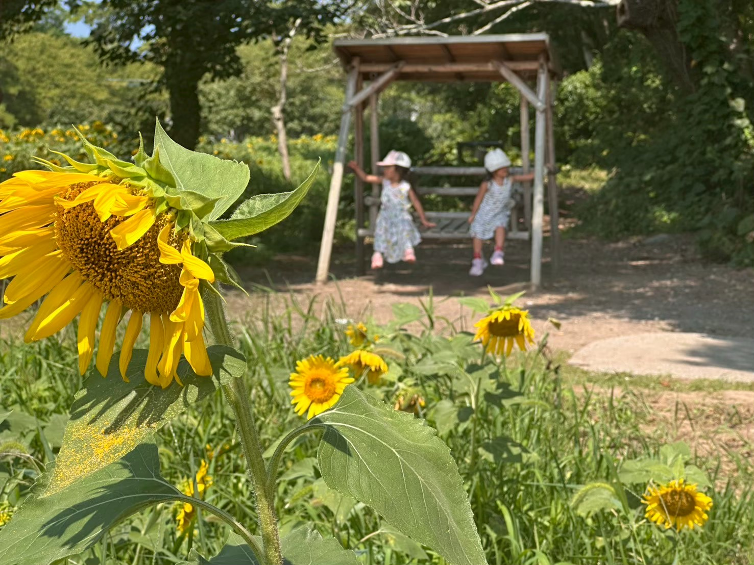 地方での暮らし