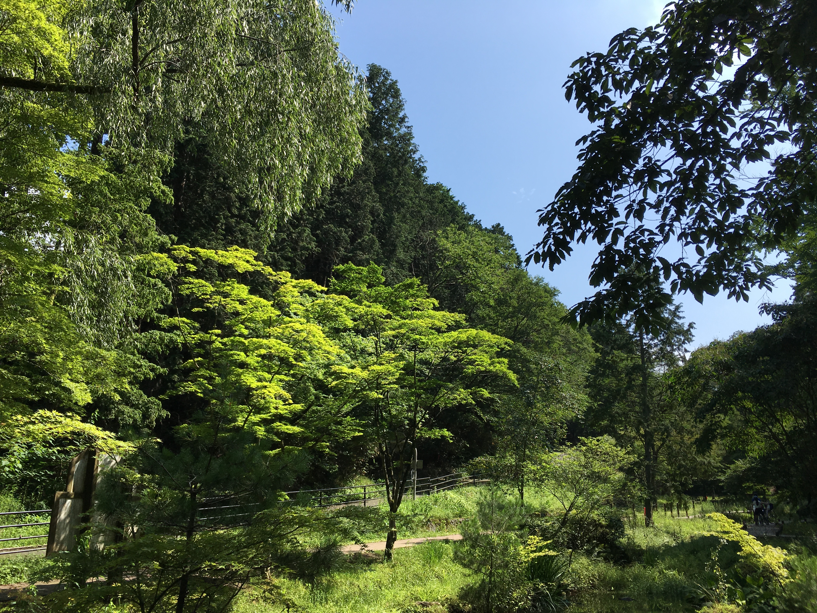 リヴァトレ仙台センター　スタッフ近況報告