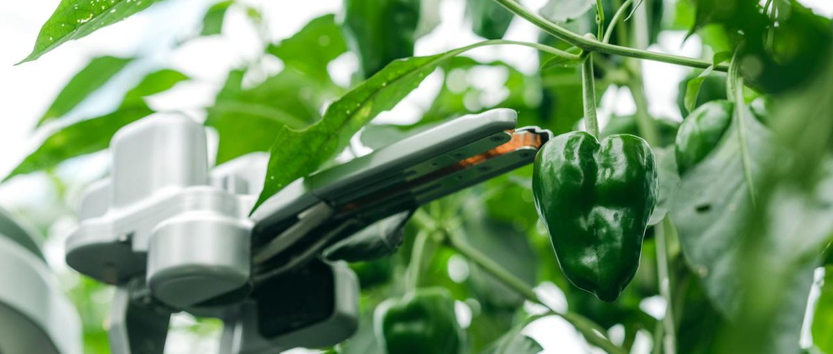 地方創生／業務推進室／政策交渉 ：社会変革を形にするポジション