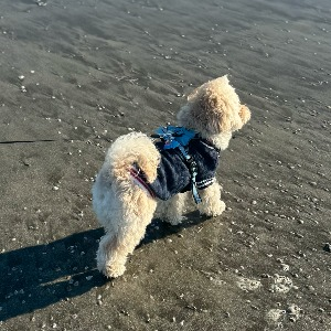 MCRM 運用副部長 M・M