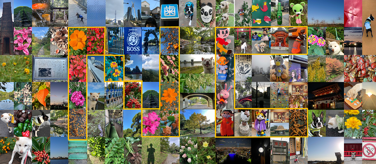 ニュートン流健康経営　～リモートでも対面以上に楽しめる運動企画の推進～