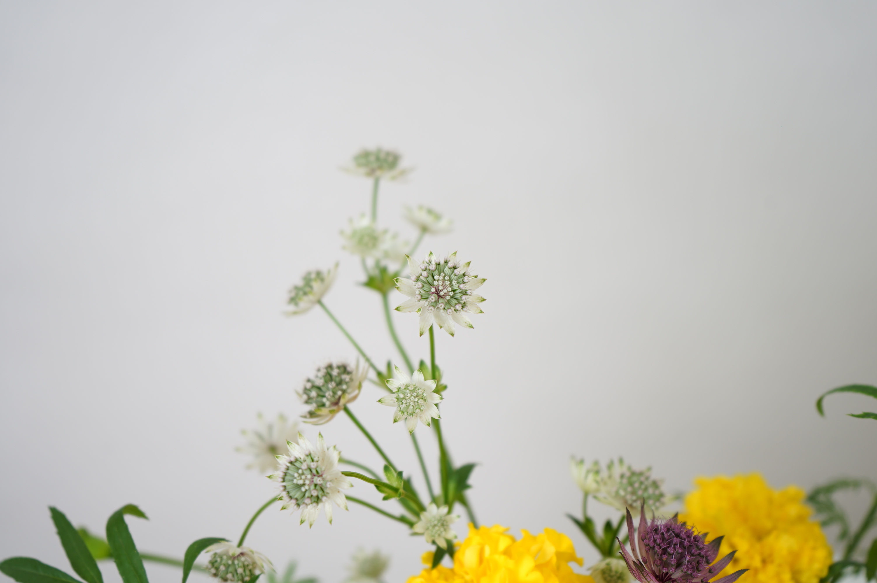 怒涛の2021年を振り返る。「仲間」と挑戦し続けた2021年。