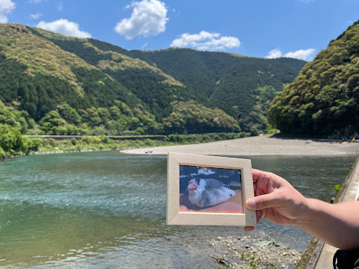 アガルートの「デザイン室」についてまずは経歴が一番長い社員に聞いてみた。