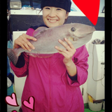 井野口 瞳