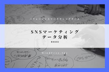 有名企業のSNSマーケティング分析をお任せ！ディレクションサポート
