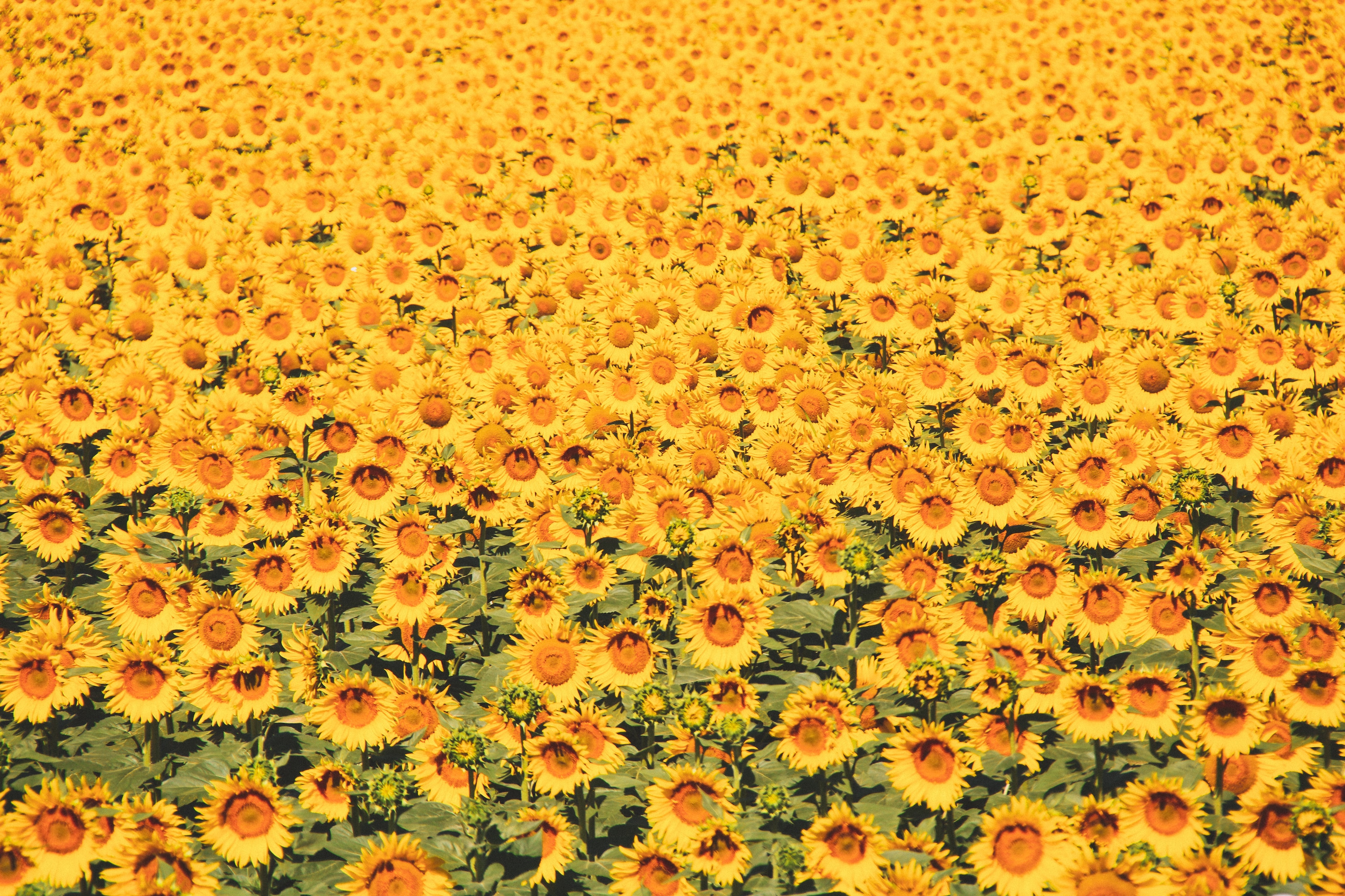 新規事業始動前夜