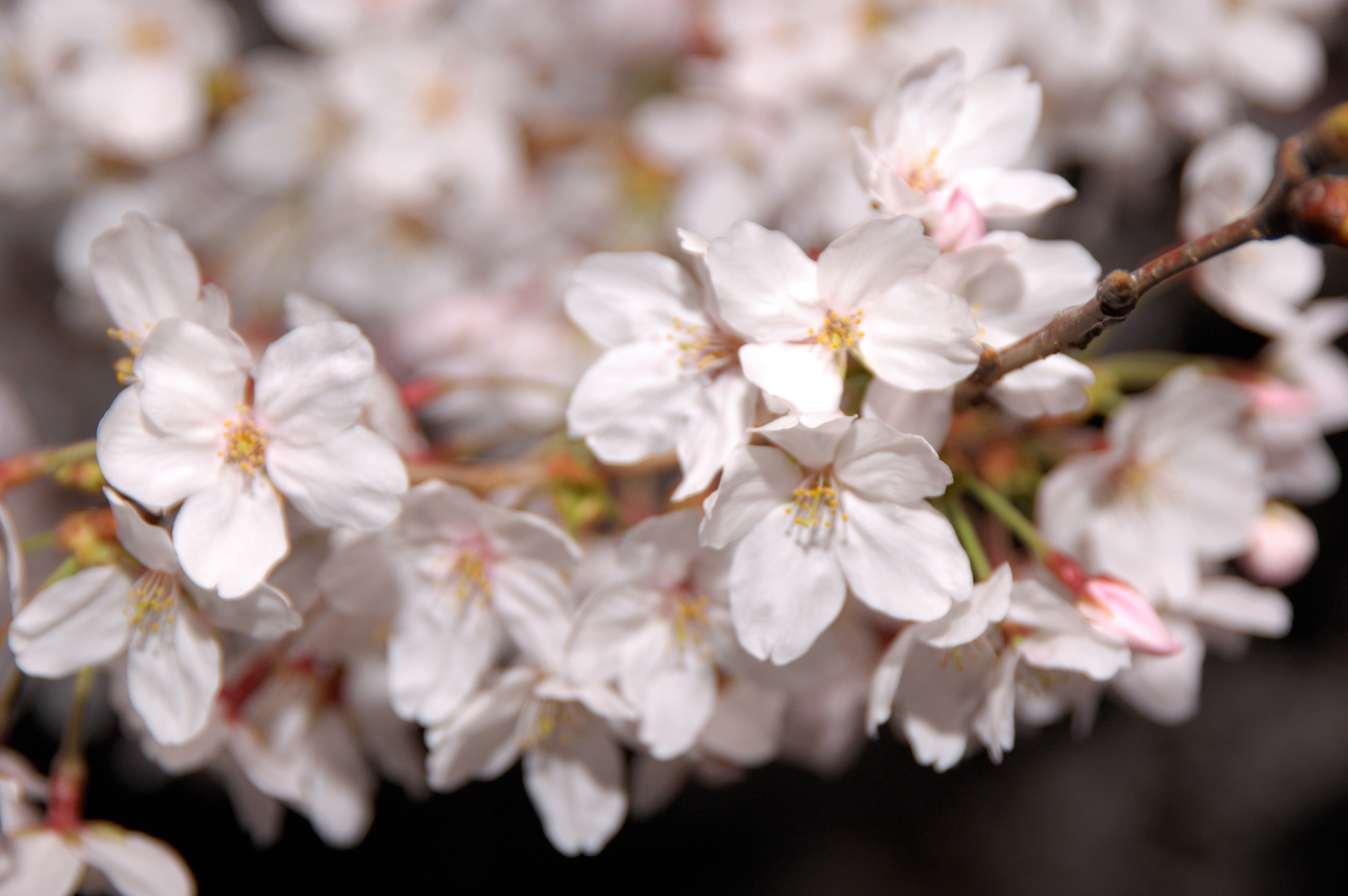 【新卒・若手】冷静と情熱の時空の狭間で【エンジニア向け】