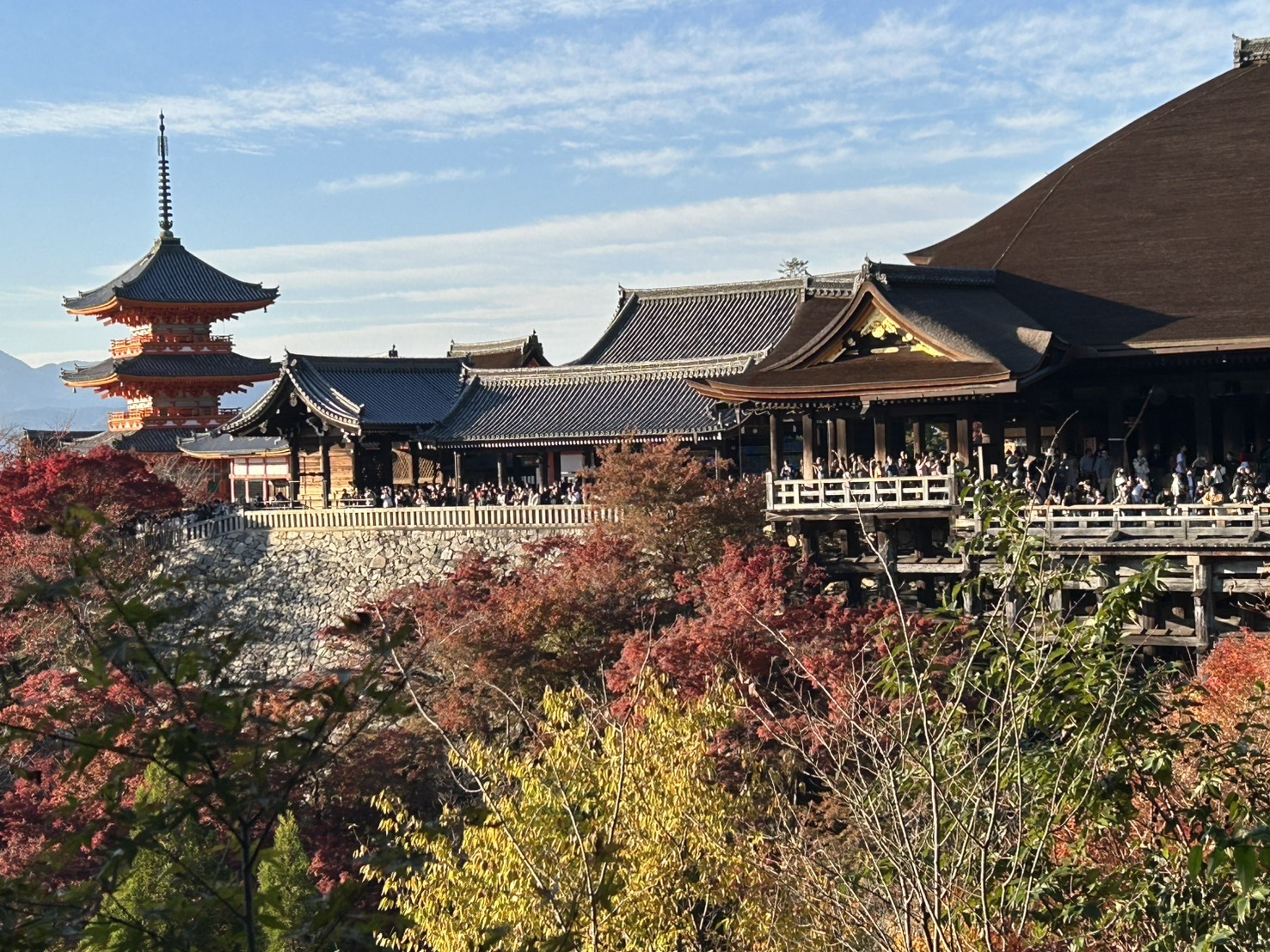 家族に誇れる仕事がある。京都で見つけた"おしぼり"の新しい景色