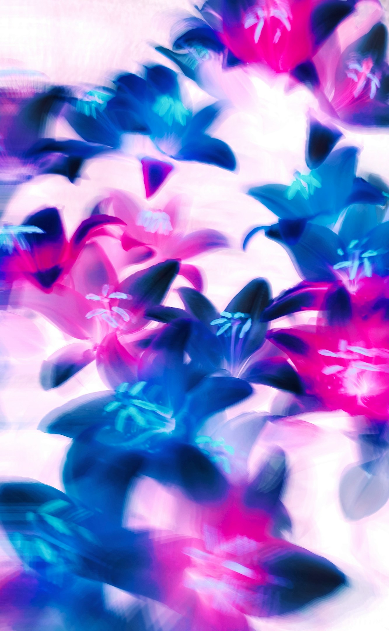 初めての営業《エイギョウ》②