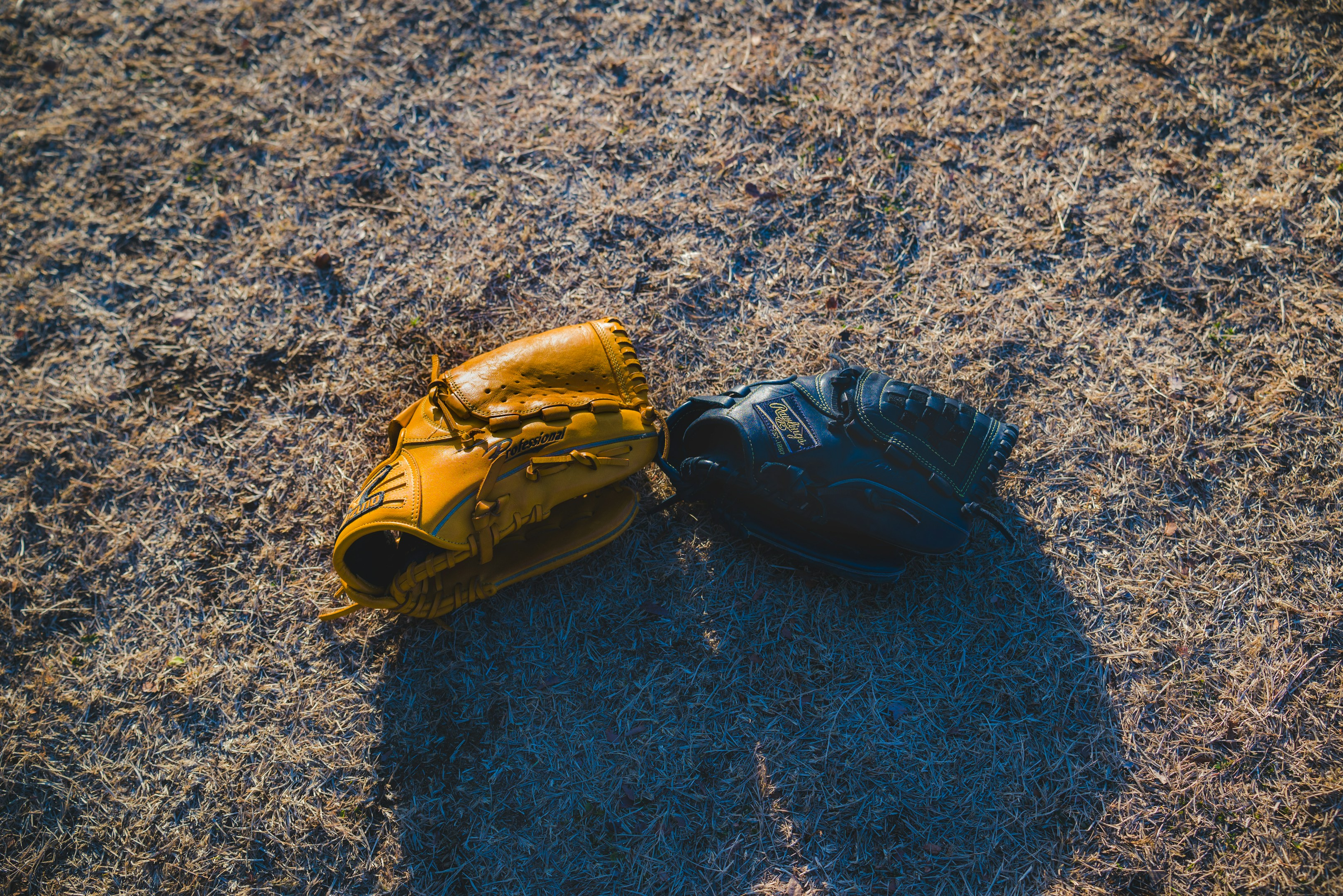 社員インタビュー：横浜支店 柄崎さん