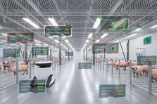 養豚DXで社会課題を解決！最新技術のアプリ開発メンバー、メタプロ開発募集