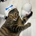 駒月 結良さんのアバター