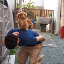 宮野 準也