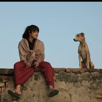 木村 愛さんのプロフィール