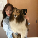 柴田　 かれん