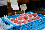 仕入から販売を 一気通貫することで 好循環をつくり出しています。