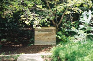 千葉・真野寺の森入り口