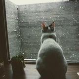 田畑   和人