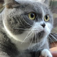 Fukusako Atsushiさんのプロフィール