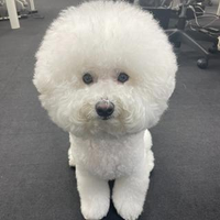 トラストライン マル