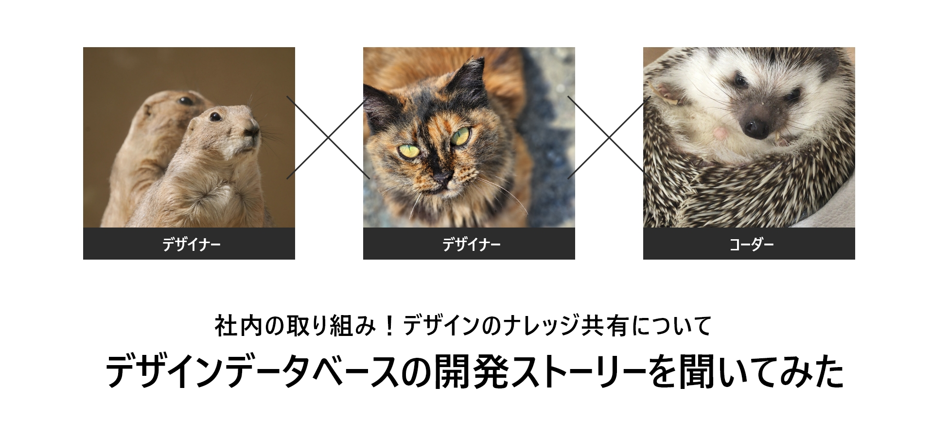 「やりたい」を実現させる力を個々がつけられるように！デザインデータベース開発担当の3人から背景や想いを聞いてみた【社内の取り組み】