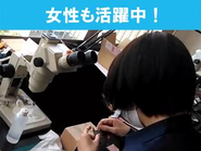 女性も活躍しています。細かい作業が好きな方、コツコツとした作業にじっくり取り組める方、ジャンルを問わずものづくりが好きな方は、男女問わずなじんでいただけると思います。