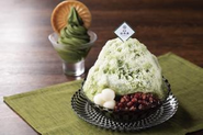 こだわりの濃い抹茶が人気のかき氷とソフトクリーム