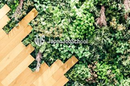 4月にオフィスを移転したばかりです！綺麗です✨