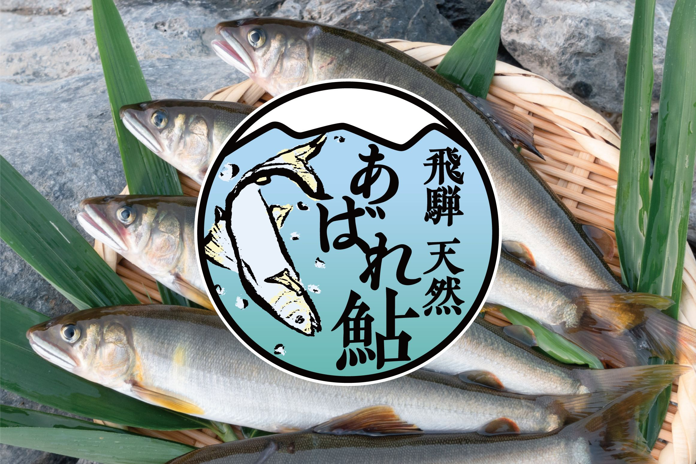 飛騨ではあたりまえの鮎が数多の高級料亭で扱われるようになった話