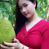 Le Tai Anh