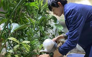 植物のメンテナンスは営業サービス課の大事な仕事。丁寧にお水遣りをしていきます。