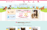 優良ブリーダーの子犬販売情報サイト「ブリーダーナビ」の運営