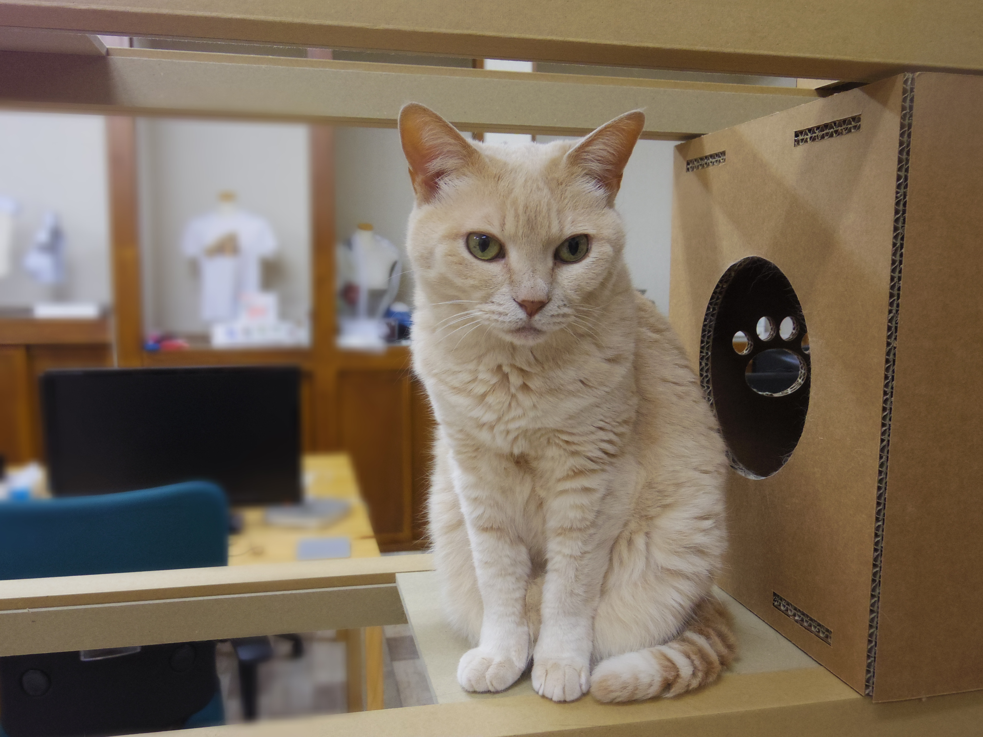 もっと知りたい？答えます！