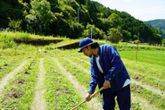 夏は草との闘い、毎日除草作業です。