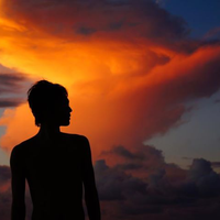 長谷川 悠己さんのプロフィール